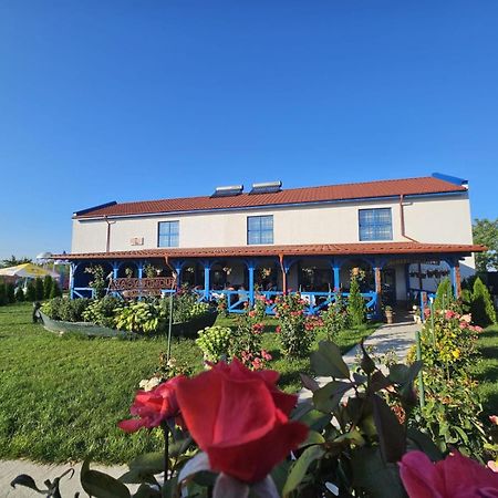 Hotel Agropensiuea Casa Uncu à Murighiol Extérieur photo