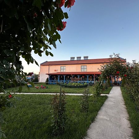 Hotel Agropensiuea Casa Uncu à Murighiol Extérieur photo