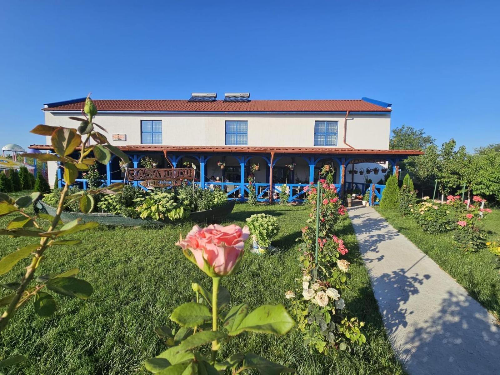 Hotel Agropensiuea Casa Uncu à Murighiol Extérieur photo