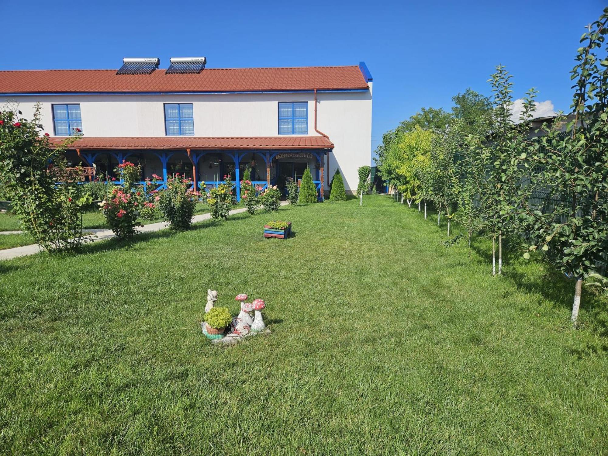 Hotel Agropensiuea Casa Uncu à Murighiol Extérieur photo